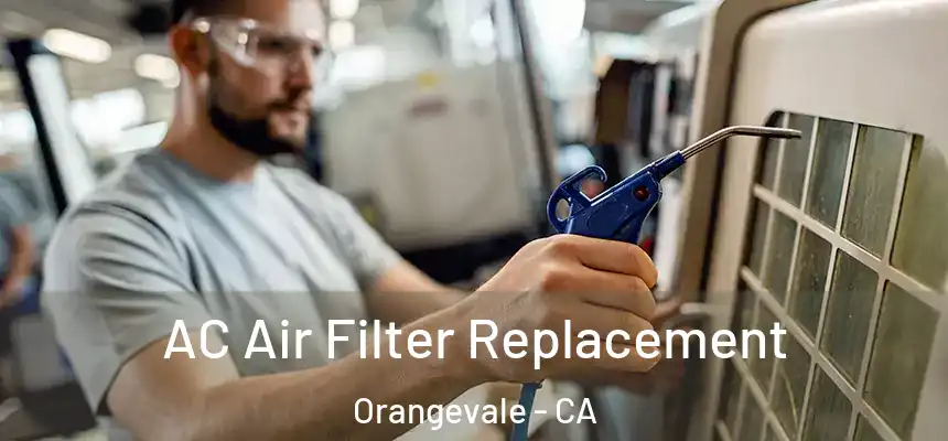  AC Air Filter Replacement Orangevale - CA