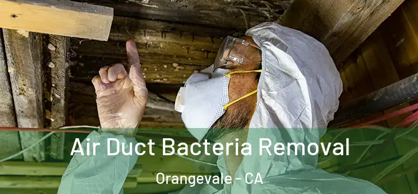  Air Duct Bacteria Removal Orangevale - CA