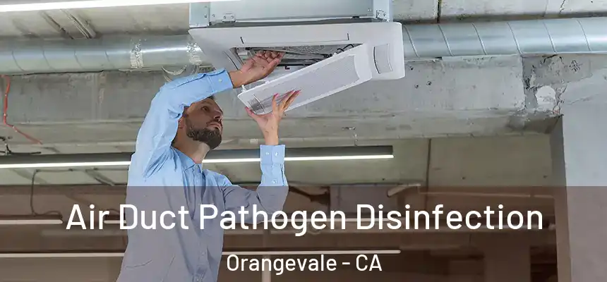  Air Duct Pathogen Disinfection Orangevale - CA