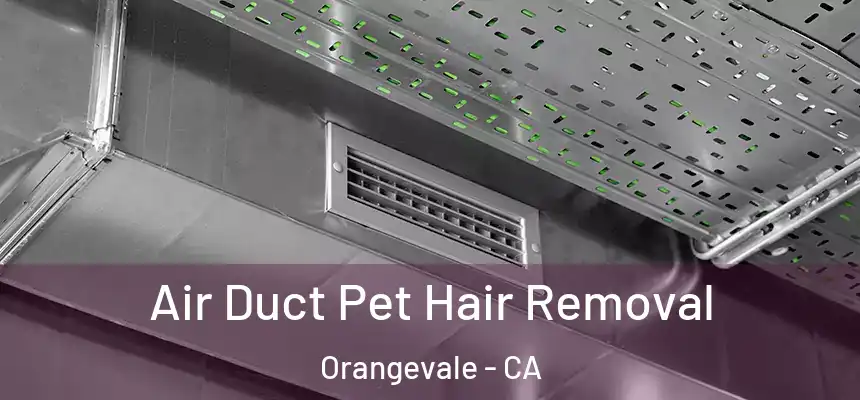 Air Duct Pet Hair Removal Orangevale - CA