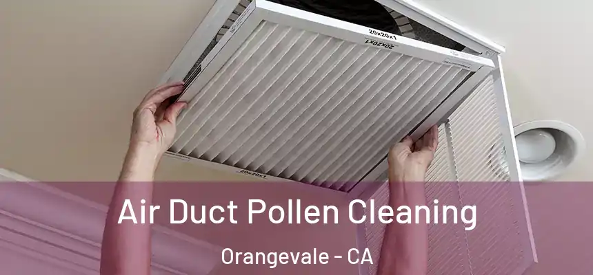 Air Duct Pollen Cleaning Orangevale - CA