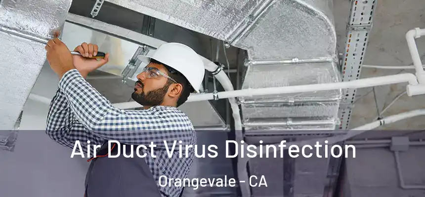  Air Duct Virus Disinfection Orangevale - CA