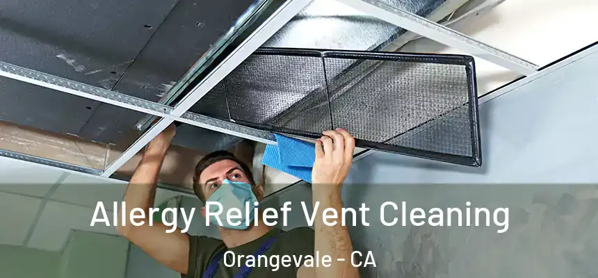 Allergy Relief Vent Cleaning Orangevale - CA