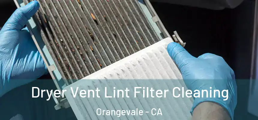 Dryer Vent Lint Filter Cleaning Orangevale - CA