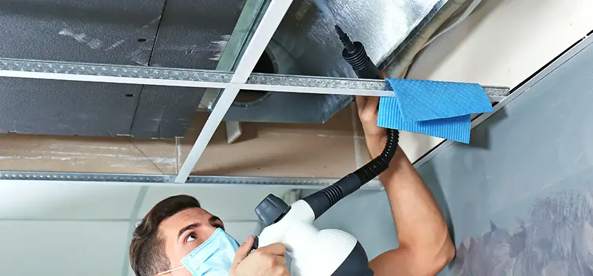 Our Air Duct Rodent Removal Services in Orangevale, CA