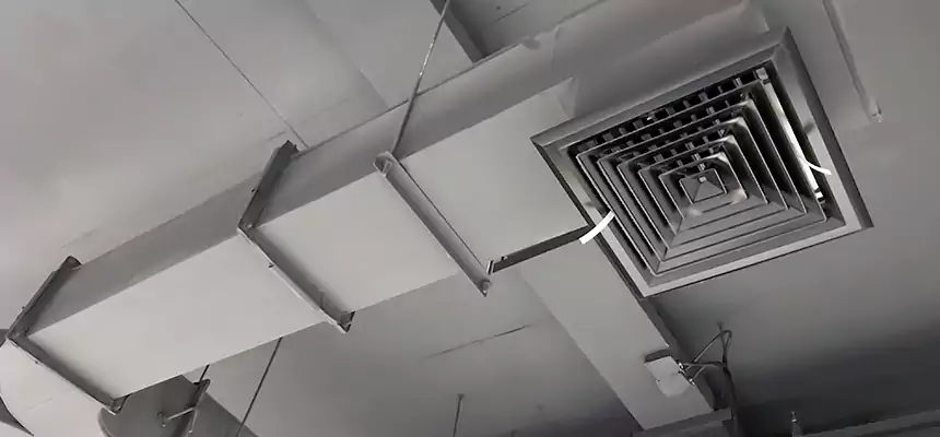 Restorative Allergy Relief Vent Cleaning – Coil, Blower & Housing Detail in Orangevale