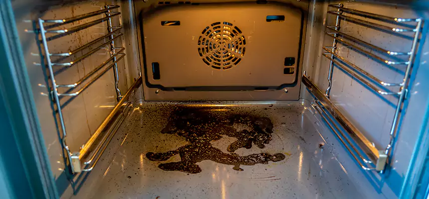 Our Dryer Vent Mold Cleaning Services in Orangevale, CA