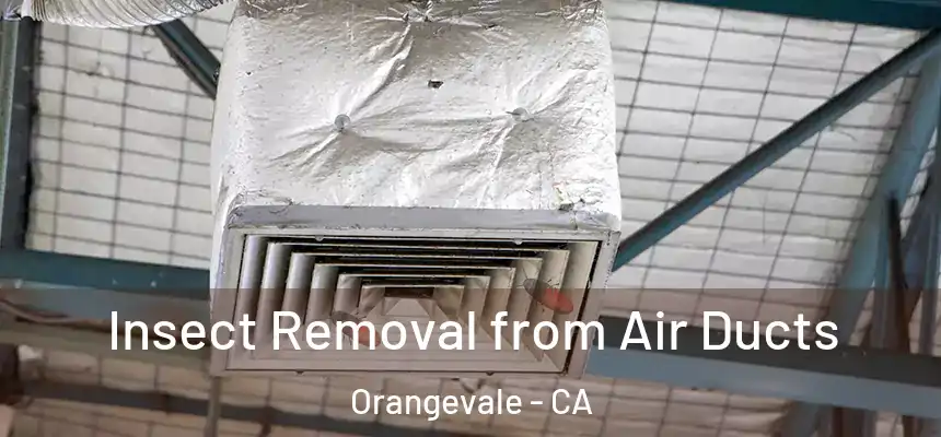 Insect Removal from Air Ducts Orangevale - CA