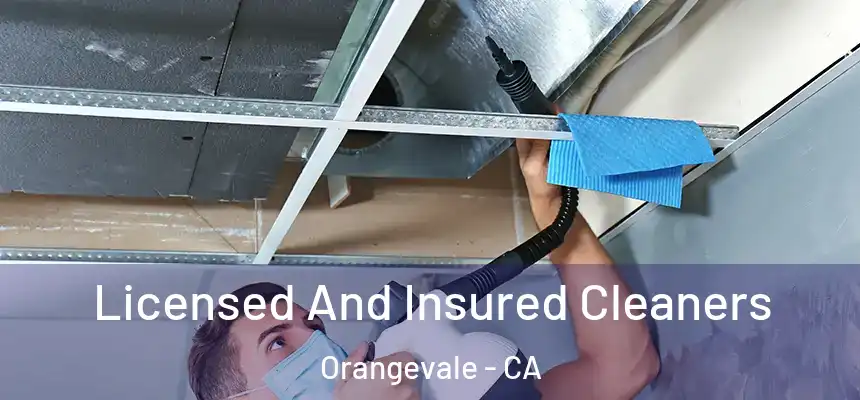 Licensed And Insured Cleaners Orangevale - CA