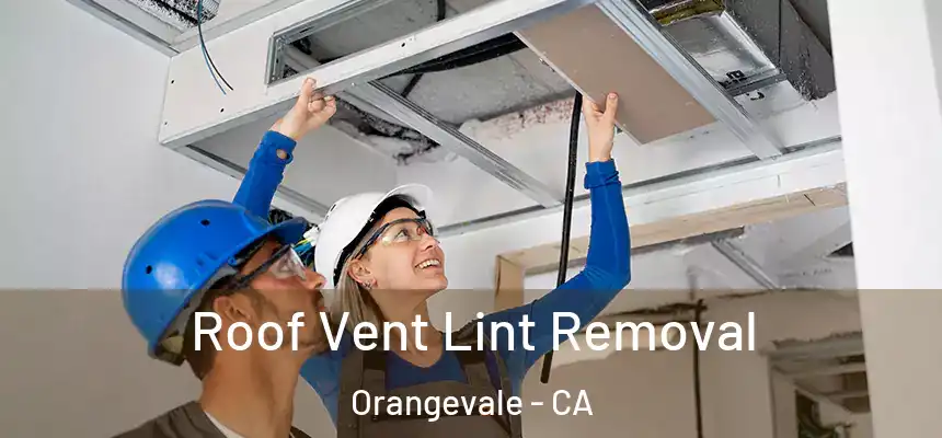Roof Vent Lint Removal Orangevale - CA