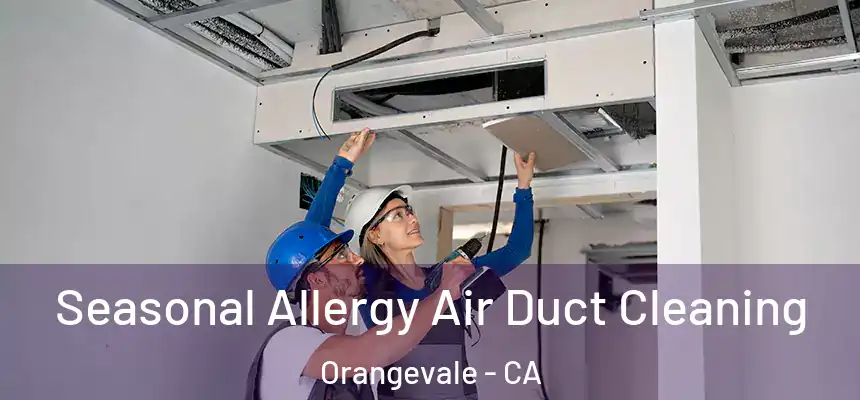 Seasonal Allergy Air Duct Cleaning Orangevale - CA