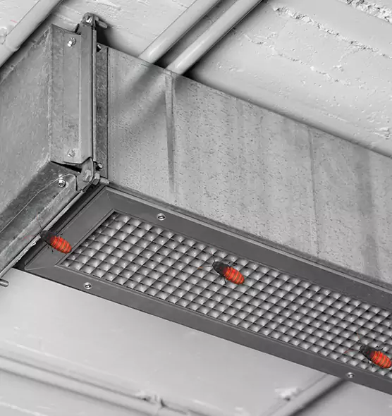 About Air Duct Cockroach Removal in Orangevale, CA