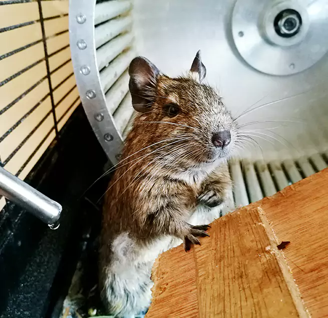 Why Homeowners & Businesses Trust Us Orangevale, CA