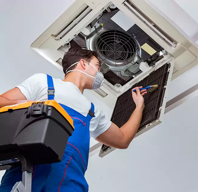 Why Homeowners & Businesses Trust Us in Orangevale, CA