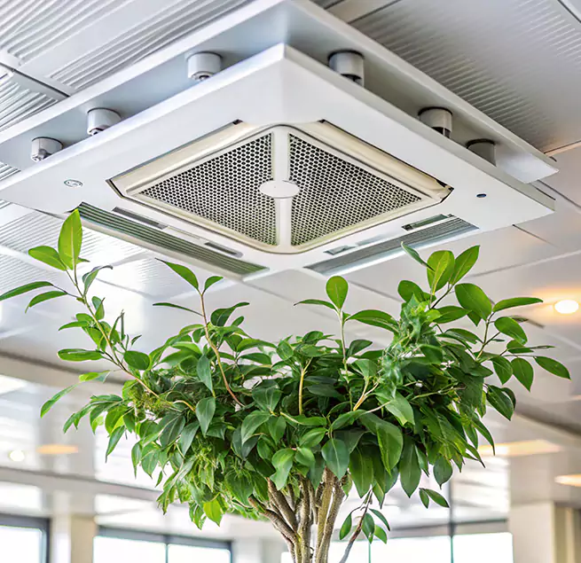 Why Homeowners & Businesses Trust Us in Orangevale, CA