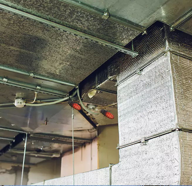 Why Homeowners & Businesses Trust Us Orangevale, CA?