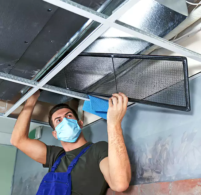 Why Homeowners Businesses Trust Us in Orangevale, CA